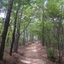 [광주 광산구]광주여대~동자봉(154m)~어등산 석봉(338m)~등용정~동자봉~광주여대 다녀오기(2022/4/28/목 오후) 이미지