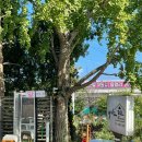 바이드302 이미지