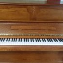 백송마을 GS,SK 아파트 이미지