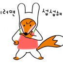 댕댕이 애견샵 이미지