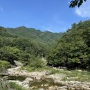 부에노사이트 이미지