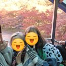 내장산관광안내소 | 내장산 국립공원 케이블카 타고 단풍놀이 우화정 등 내돈내산 후기