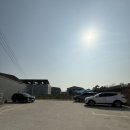 퍼피클럽 | 대구 칠곡 최대 초대형 애견카페 애견호텔 애견유치원 애견미용 애견스튜디오 컴페니언 퍼피클럽