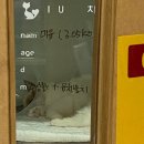 파스텔LC동물병원 이미지