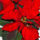 홍성초등학교 이미지