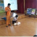 세화초등학교 제주투데이