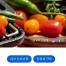 다물스토어 이미지