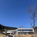영해만세시장 | [영덕] 영덕여행 영덕가볼만한곳 2박3일 여행(영해만세시장, 동광어시장, 벌영리메타세콰이어숲, 생선...