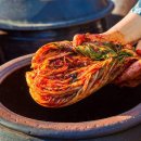 소화기내과 전문의 “김치, 대장암 예방에 효과적 이미지