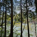 성지곡지 이미지