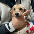 몽그라미 이미지