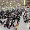 부산세관신항 청사 | 부산 후쿠오카 항공권 김해공항 제주항공 24개월미만 아이와 일본 입국 심사 이유식 등 우당탕탕 후기