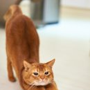 사나바른몸