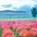 사랑의언덕 이미지