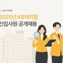 (주)대주환경 | 2025 KB캐피탈 공개채용 공고 ,캐피탈사 기업금융 직무 분석 및 자소서 tip (+ 타캐피탈사 기업금융...