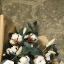 도깨비다방 이미지