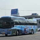 별빛물결시티투어 이미지