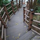 제주돈내코 - 춘천시 퇴계로77번길 19-40 | 제주돈내코