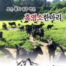 보은염소농장 이미지