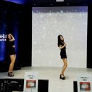 조명디앤피