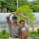 화순허브뜨락 이미지