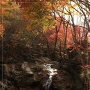 원묵계 계곡 이미지