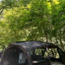 별아래캠핑장 | 봉화별캠핑장 여름캠핑후기｜매너타임 철저 개인 화장실 샤워실 깨끗한 시설 사이트 총정리