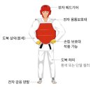효자태권도 Daum카페