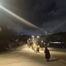 선우정아 콘서트 | [공연] 2026 선우정아 미니콘서트 <너의사랑이 또 나를 살리네>