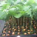 모모동물병원 이미지