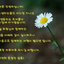 화랑대역 2번출구 버스정류장 이미지