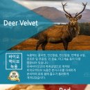 휴든바이오 이미지