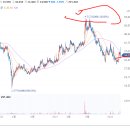 주식회사디오와이 이미지