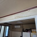 와우로119번길 이미지