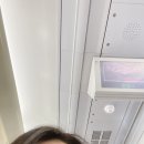 바길동 in 서울구미대전서울 오지마피묻어 구미라면축제 성심당 성심당부띠끄