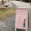 자연속으로 | [가평/춘천 감성 숙소] 자연을 한가득 담고있는 &#39;나무사이에 자연속으로&#39; 🌿 :: 버드방 후기 🕊️