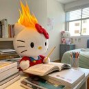 경기사 | [내돈내산] 새니 경제윗미 4개월차 솔직후기 및 꿀팁 공유