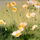 우리들의 사랑 이미지