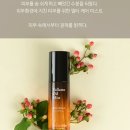 인셀덤 - 강남구 언주로107길 22 | 인셀덤