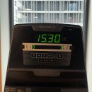 한국 WM fit Gym | [W2] 룩셈부르크·미국 2주차 | 2026.03.22