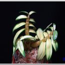 이미개 농장 이미지