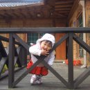 백담소나무계곡펜션 이미지