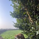 승한목장 | 9살 6살 아이와 7박8일 가을 제주도 여행 일정 _ 4일차(아르츠스파앤풀빌라, 스누피가든, 낙타트래킹...