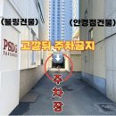 블링데이 이미지