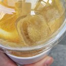 제이안 티스토리