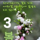내청 이미지