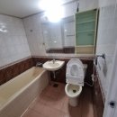 산호대로-2 이미지