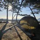 킹콩하우스 | 바다뷰가 잘 보이는 태안 캠핑장 곰섬킹콩솔숲캠핑장 후기