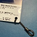 다우테크한식부페 | [맥시멀리스트버전]MSC 월드유로파 크루즈 준비물 추천!!