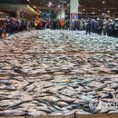 중도매인1호 이미지